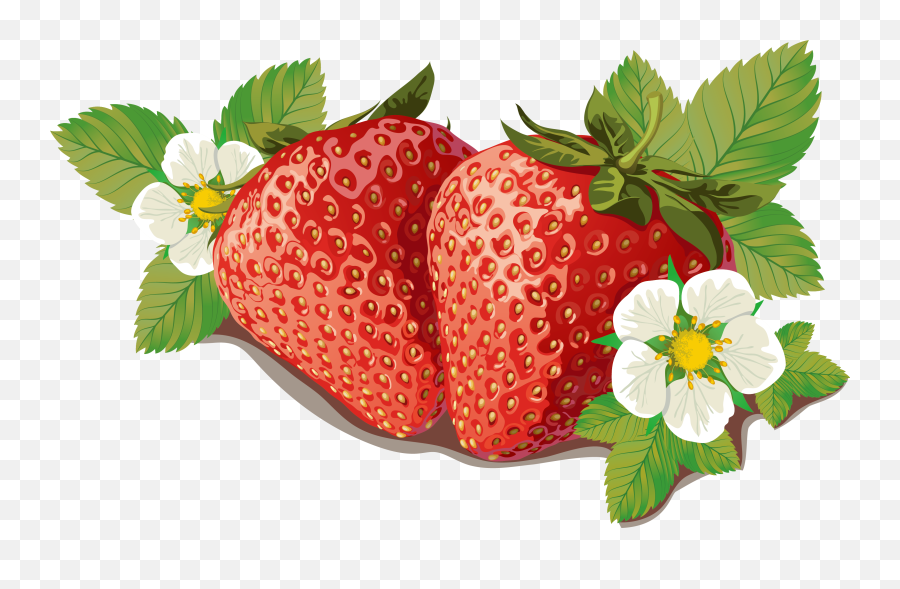 Strawberries Clipart Orange Strawberries Orange Transparent - Vector Strawberry Fresh Png Emoji,Watermelon Slice Emoji Meaning