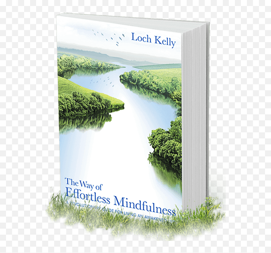 Of Effortless Mindfulness - The Way Of Effortless A Revolutionary Guide For Living An Awakened Life Emoji,Bok About Having No Emotion