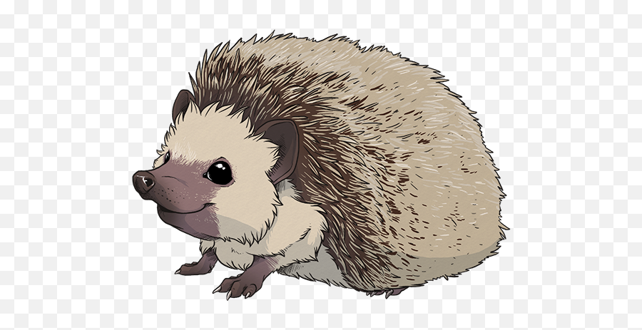 Hedgehog Clipart Transparent Background - Hedgehog Clipart Transparent Emoji,Porcupine Emoji
