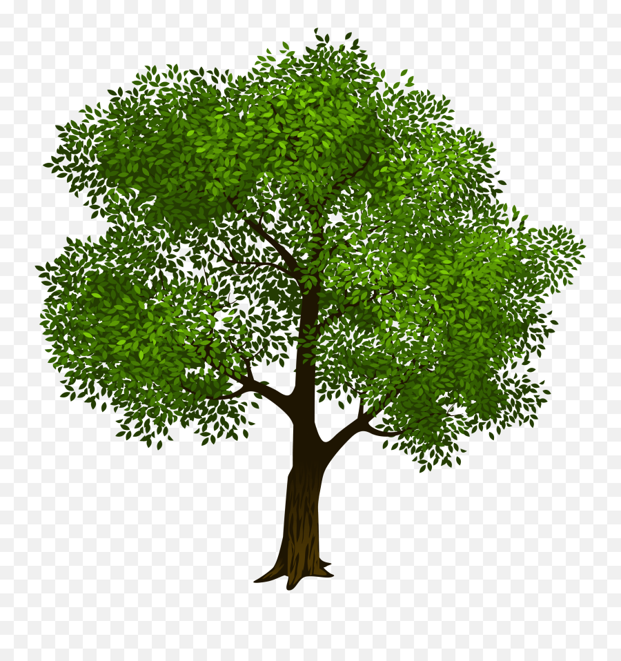 Tree Clipart Tree Clip Art Images - Transparent Background Oak Tree Clipart Emoji,Plant, Emotions, Clipart