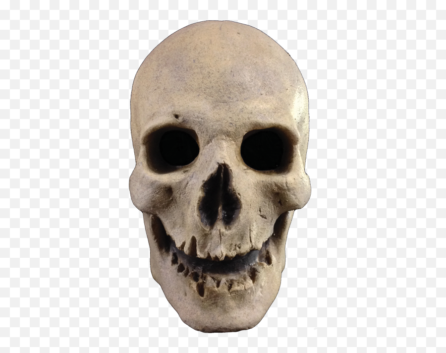 Antique Skull Halloween Skeleton Mask - Skull Halloween Emoji,Skull & Acrossbones Emoticon