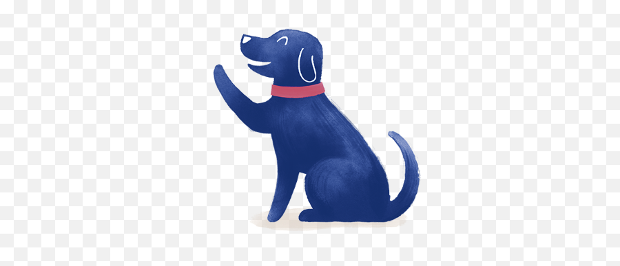 Blindness And Deafness In Dogs - Medivet Dog Emoji,Heartfelt Emotions Lost Your Dog Images