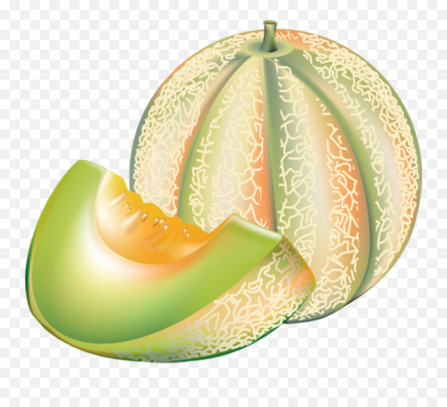 Mq Melon Honeydew Sliced Fruit Sticker - Cartoon Image Of Muskmelon Emoji,Cantaloupe Emoji