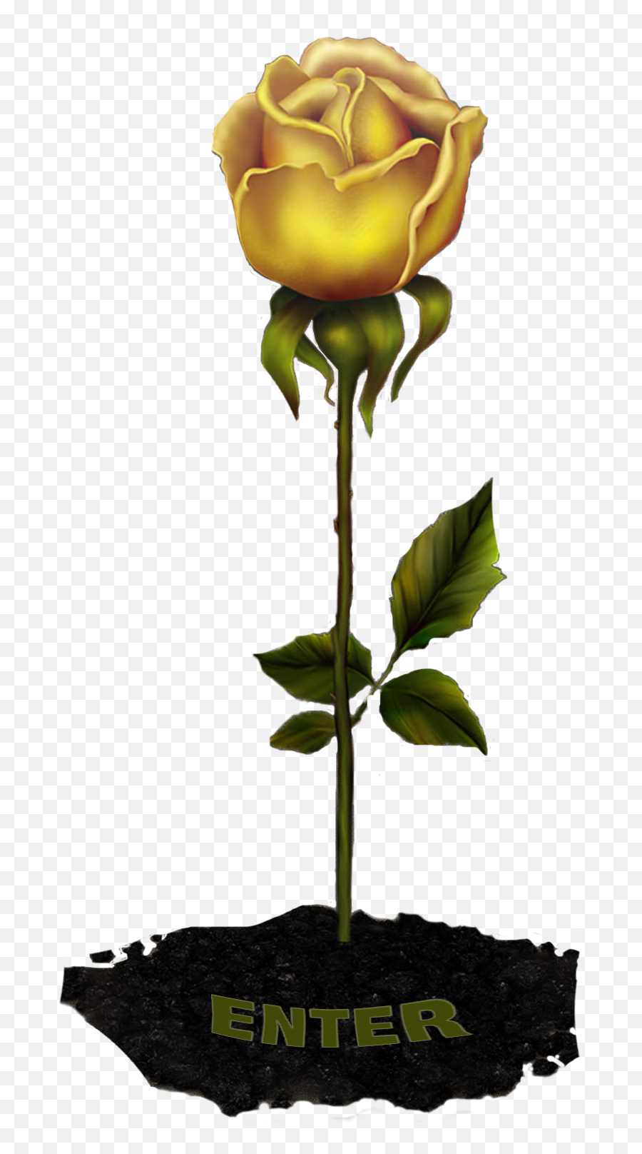 Home Page - Rosefromapark Emoji,Rose Emoji