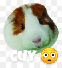 Melodys - Soft Emoji,Guinea Pig Emoticon