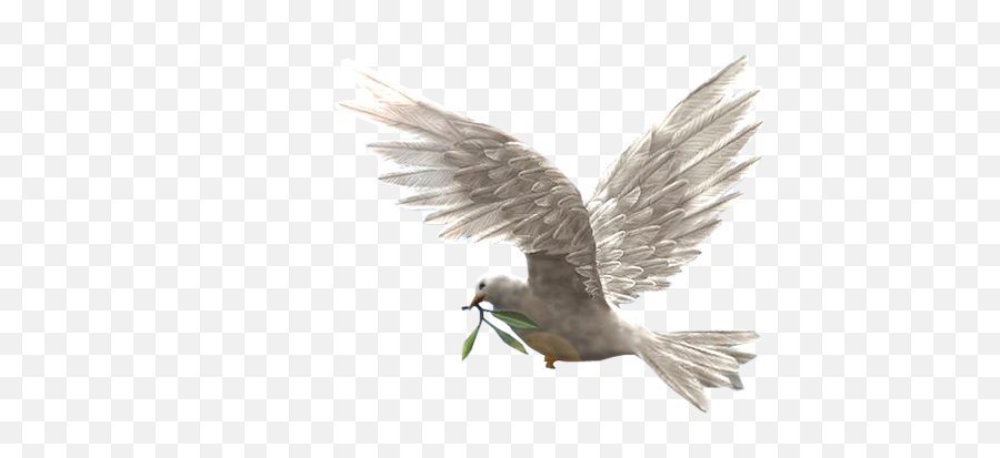 Download Dove Of Peace Emoji,Dove Of Peace Emoji