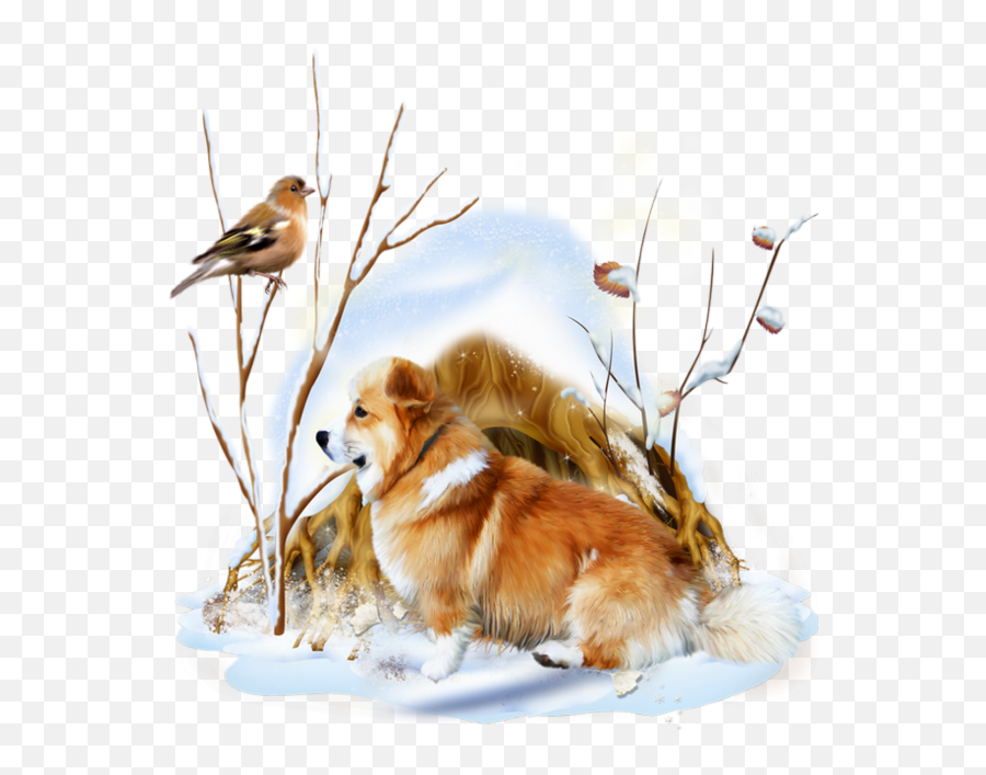 Snowdogbirds Sticker - Northern Breed Group Emoji,Sheltie Emoji