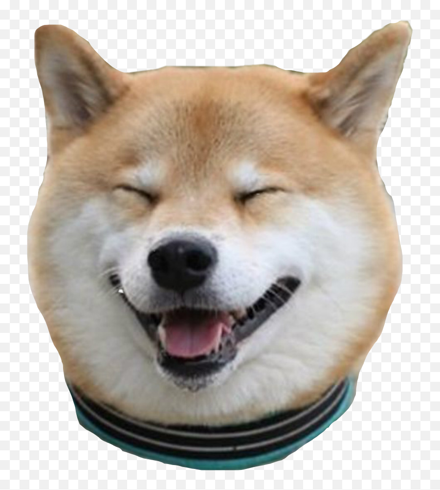 Shibe Shibenation Shib Sticker Emoji,Shibe Emoji