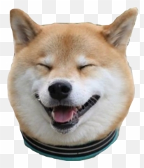 Shibe Shibenation Shib Sticker Emoji,Shibe Emoji