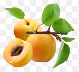 Peach Png Transparent Emoji,Peachy Emojis