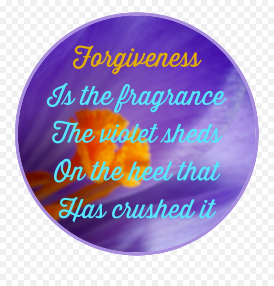 Quotes Forgiveness Sticker - Dot Emoji,Forgiveness Emoji