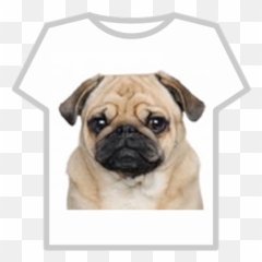 Pug Vs Pug Roblox - Transparent Creepy Face Roblox Emoji,Emoji Movie Jailbreak Hentai