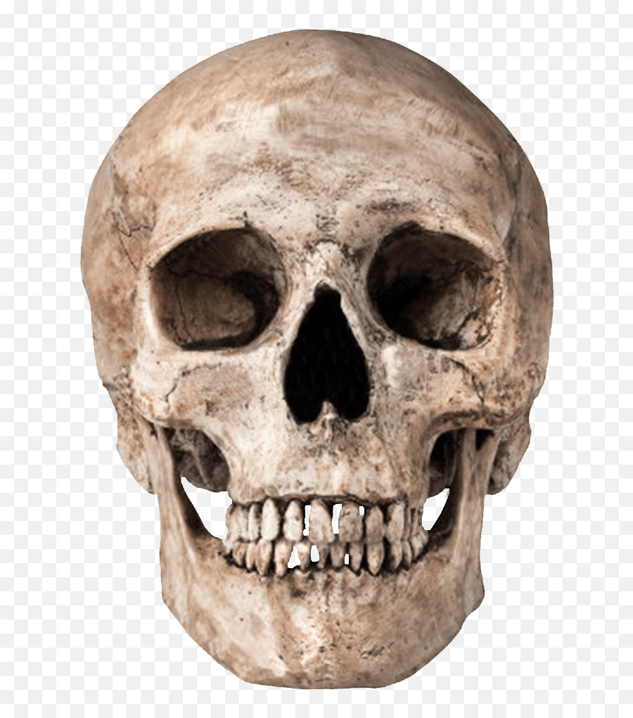 Skulls Png Hd Png Pictures - Vhvrs Old Skull Png Emoji,Skull Trooper Emoji