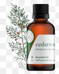 A Closer - Guava Essential Oil Emoji,Review Emotions And Essential Oils By Enlighten Cd