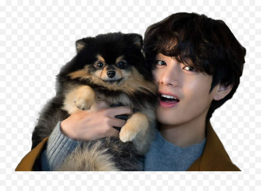 The Most Edited - Kim Taehyung And Yeontan Emoji,Yeontan Emoticon