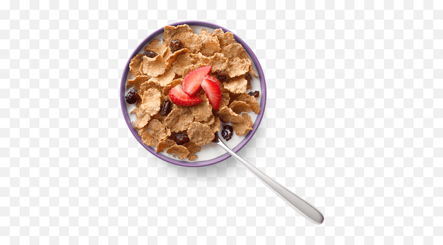 Food Containers Make Uncountables Countable - Baamboozle Breakfast Cereal Emoji,Cereal Emoji