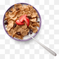 Food Containers Make Uncountables Countable - Baamboozle Breakfast Cereal Emoji,Cereal Emoji