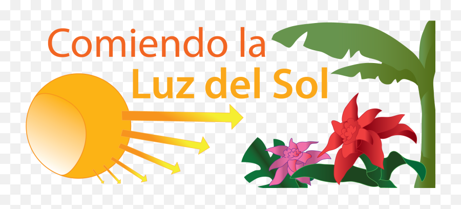 Comiendo La Luz Del Sol - Language Emoji,Qie Significa A Emotion De Un Sobre Cerrado Que Significa