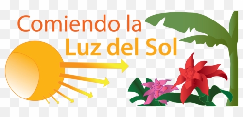 Comiendo La Luz Del Sol - Language Emoji,Qie Significa A Emotion De Un Sobre Cerrado Que Significa