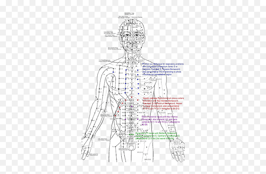 Chronic Pain - Acupuncture Points And Meridians Emoji,Pain Emotion Body Science