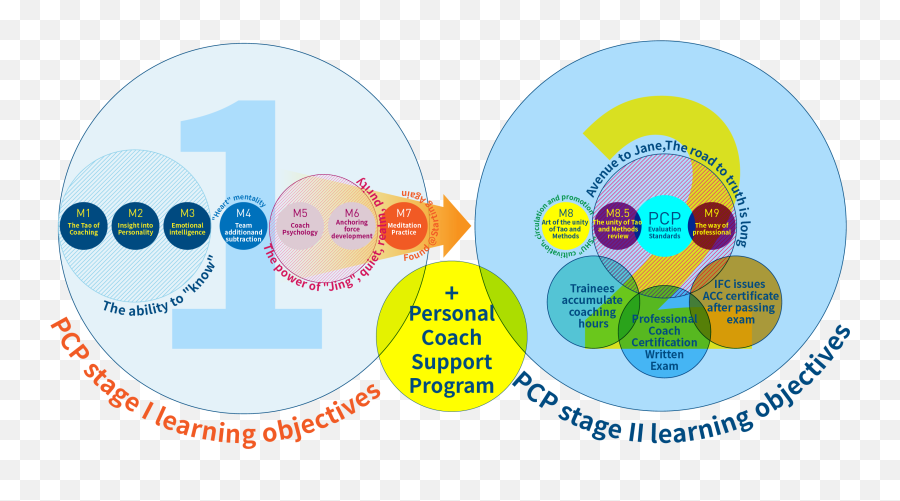 Professional Coach Program - Pcp U2013 Enrichment Consultants Dot Emoji,Content And Emotion Coaching