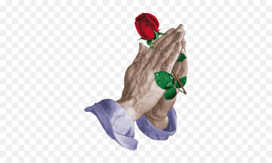Roses Are Red - Praying Hands With Rose Gif Emoji,Mccallister Emoji