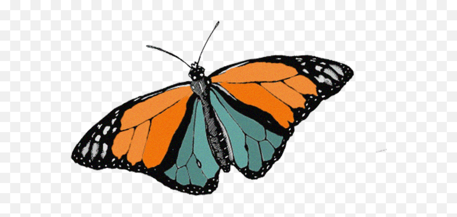 List - Monarch Butterfly Emoji,Zoella All The Emotions