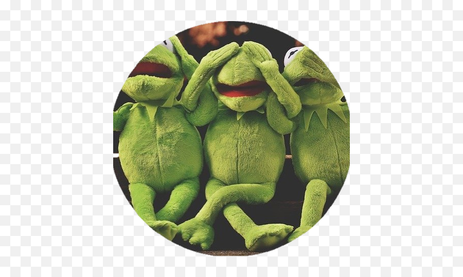 Bjh970913jee Hoon Baik - Giters Example Of Catch Cruise In Nigeria Emoji,Kermit The Frog Emoticon