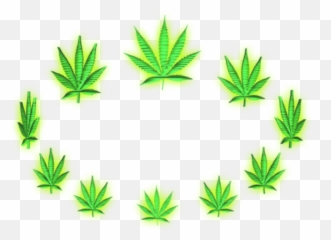The Most Edited Cbd Picsart Emoji,Weed Leak Emoji