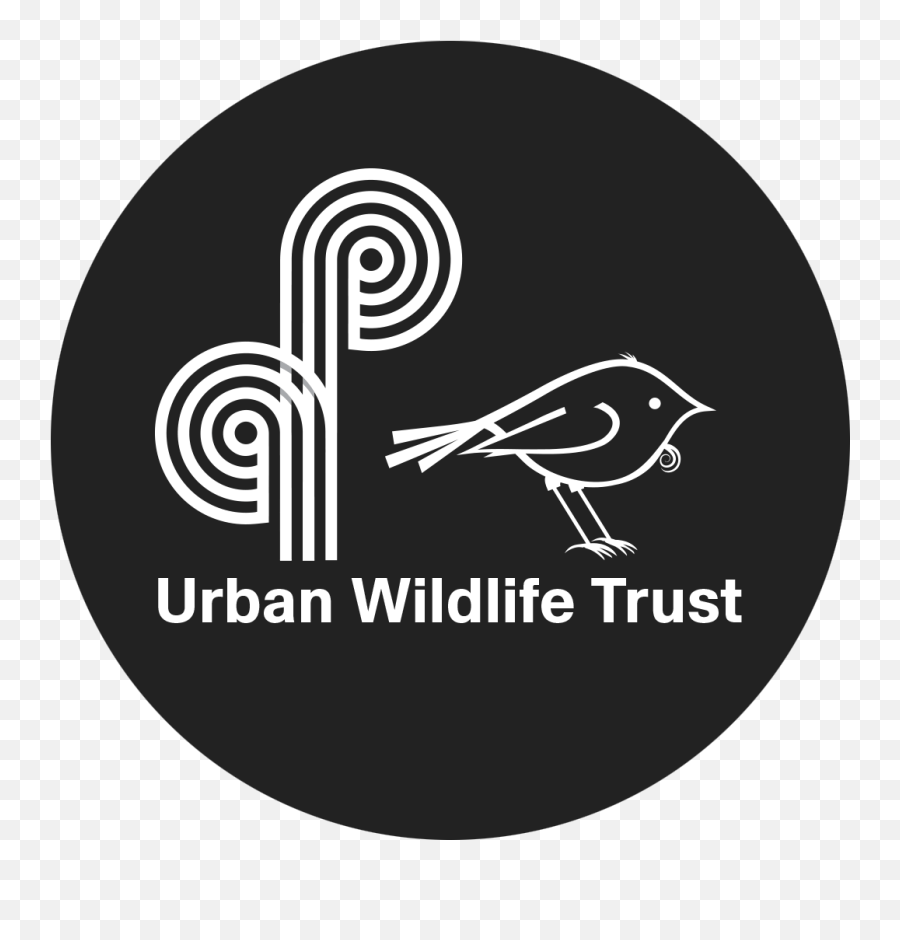 Koror Cam Project U2013 Urban Wildlife Trust Emoji,What Else Does The ??? Emoji Mean Urban