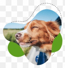 Vet Clinic Near You - Closest Veterinary Clinic Open Now Emoji,Kindness/appreciation Emoji