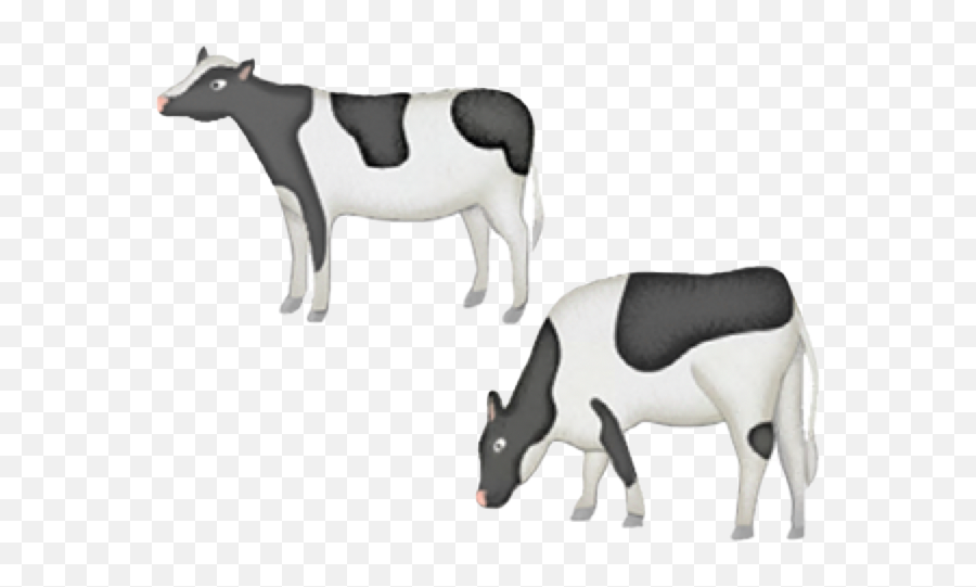 Everybody Up 0 Starter Unit 5 Animals - Baamboozle Animal Figure Emoji,Cow Emojis