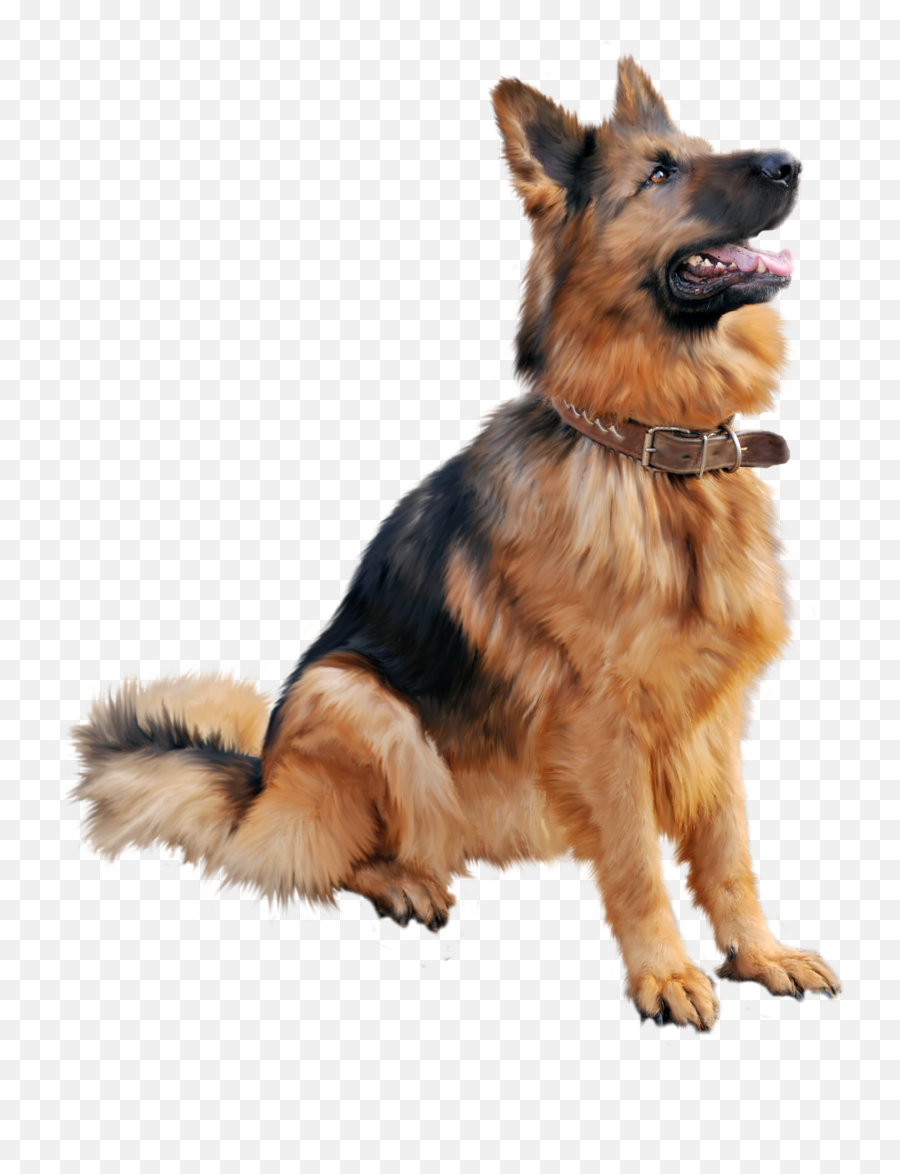 High - Definition Video Wallpaper Dog Png Image Png Download Dog Png Emoji,Dog Emoji Background