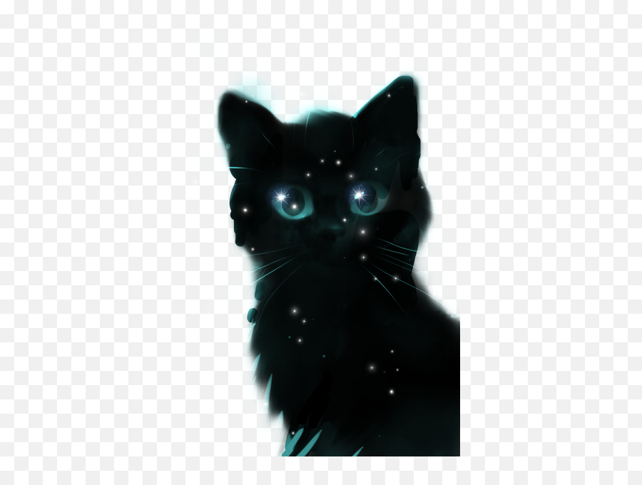 Blackkitten Starryeyed Sticker - Black Cat Emoji,Starry Eyed Cat Emoji