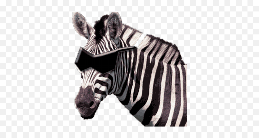 Blind Zebras Blindzebras Twitter - Blind Zebras Emoji,Animated Football Emoticons