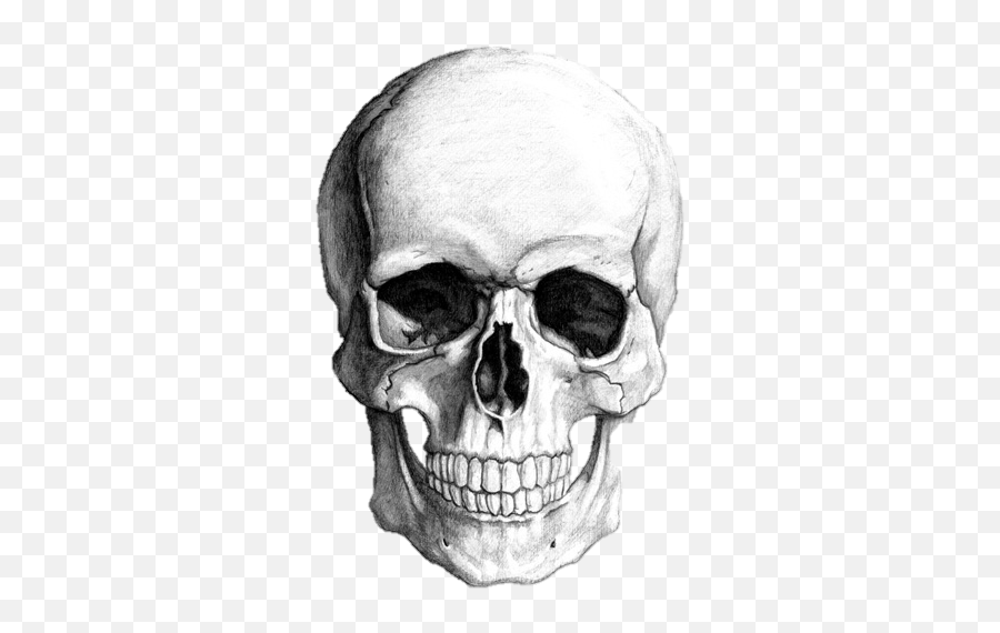Edit - Skull Drawing Emoji,Skull Face Emoji