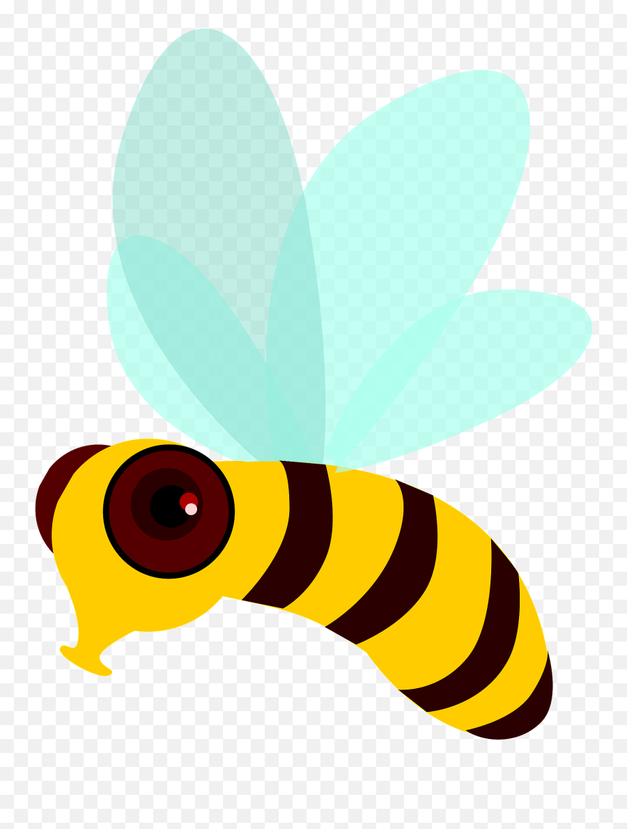 Bee With Big Brown Eyes Clipart Free Download Transparent Emoji,Why Do Some Emojis Have Big Black Eyes