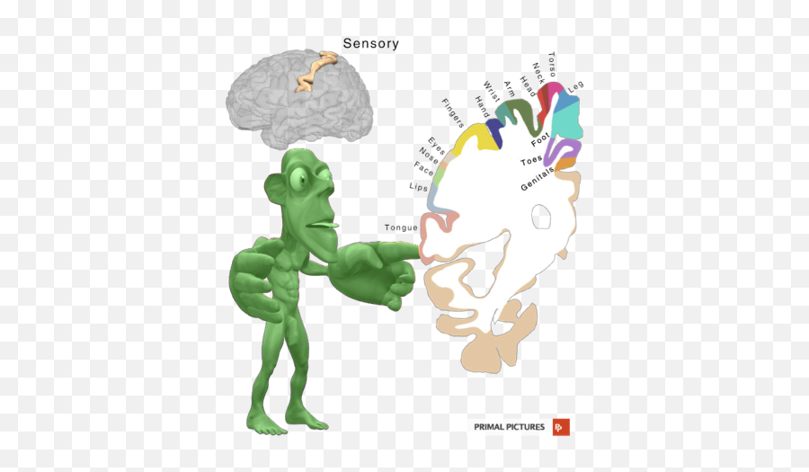 Musculoskeletal Monday Sensational Sensation - Fictional Character Emoji,Brain Hand Emotion Model