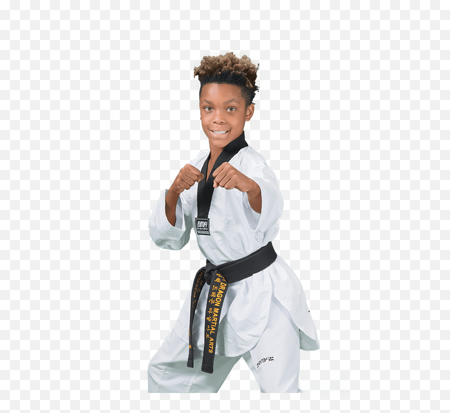 Black Dragon Martial Arts - Black Dragon Martial Arts Emoji,Animated Karate Kick Girl Emoticon