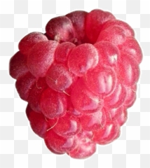 Animated Raspberry - Raspberry Cartoon Gif Emoji,Rasberry Emoji