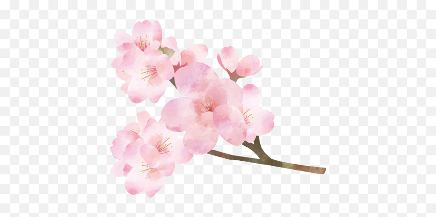 Gucalu - Twig Emoji,Cherry Blossom Emoticon