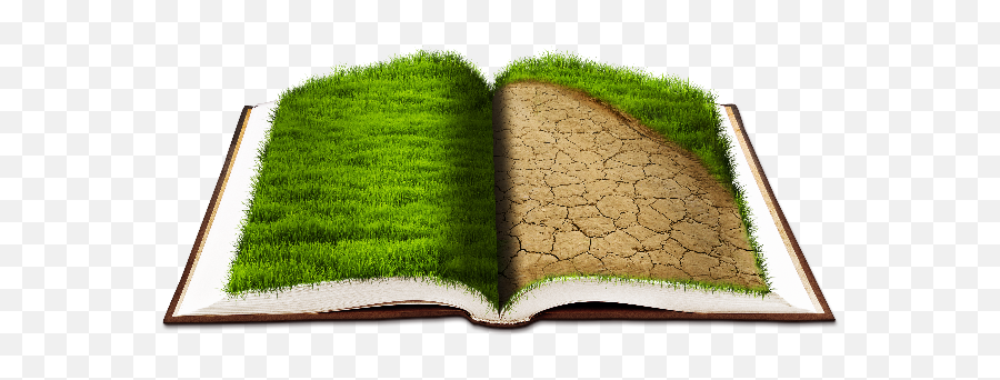 Open Book Png With Grass Texture Nature - Grassandfoliage Book Open Photo Manipulation Emoji,Books Emoji Png