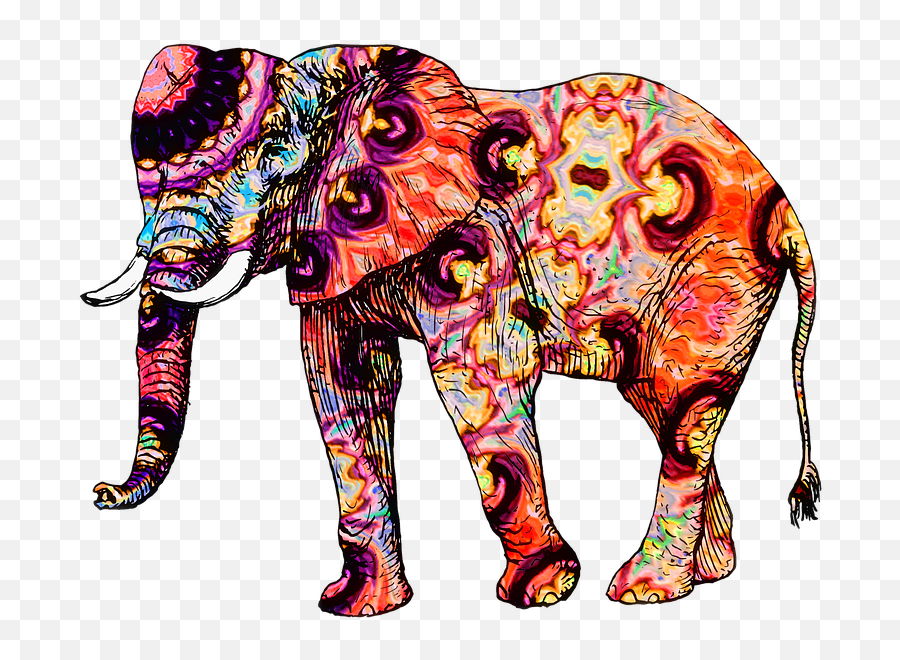 Free Photo Elephant Animal Zoo Animals - Elephant Thailand Png Emoji,Emotions In Zoo Animals