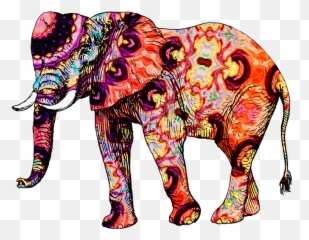 Free Photo Elephant Animal Zoo Animals - Elephant Thailand Png Emoji,Emotions In Zoo Animals