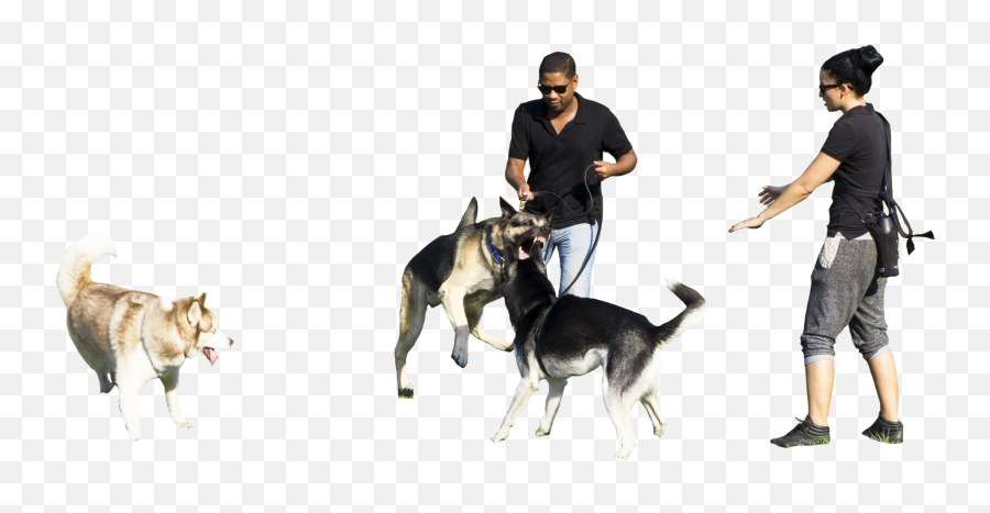 Download Pet Walking Park Dog Dogs Hq Image Free Png Clipart - People Walking In Park Png Emoji,Dog Dog Heart Emoji Puzzle
