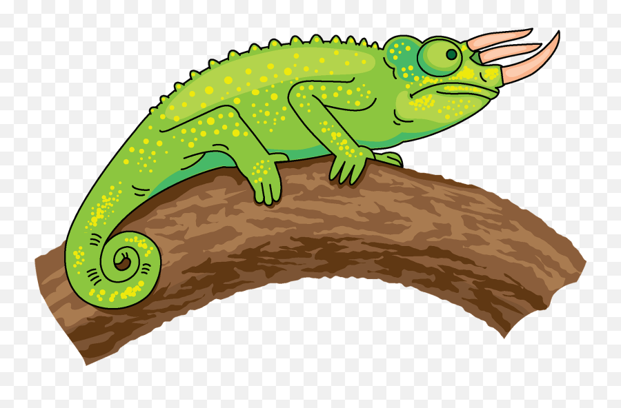 Trioceros Chameleon Clipart - Chameleon Clipart Emoji,Chameleon Emoji