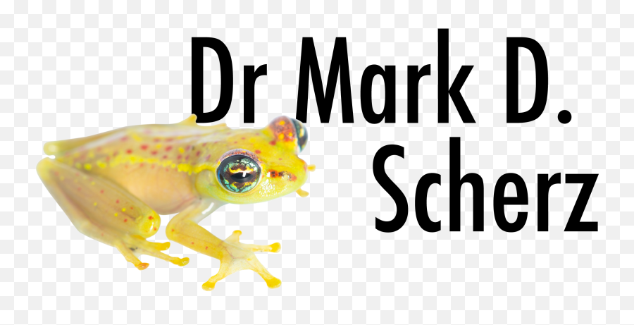 Honey Evolution Shrank The Frogs U2013 Dr Mark D Scherz Emoji,How To Send Lucky Frogs Emoji In Email
