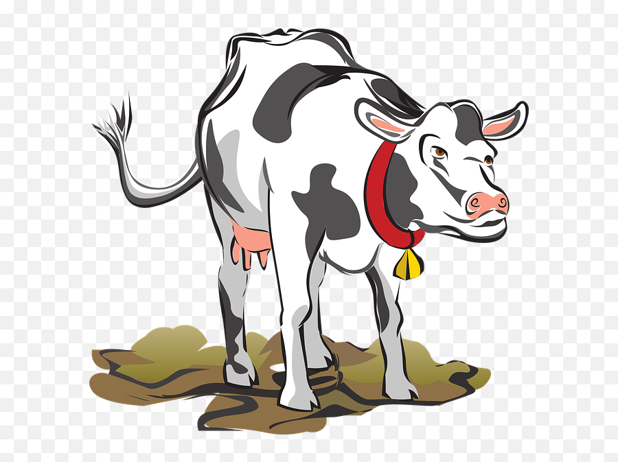 Free Photo Head Farm Livestock Cow Chewing Eating Cattle Emoji,Cute Emoji Cow