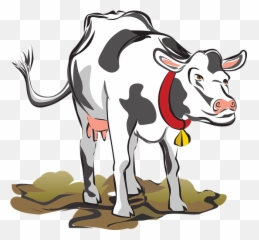 Free Photo Head Farm Livestock Cow Chewing Eating Cattle Emoji,Cute Emoji Cow
