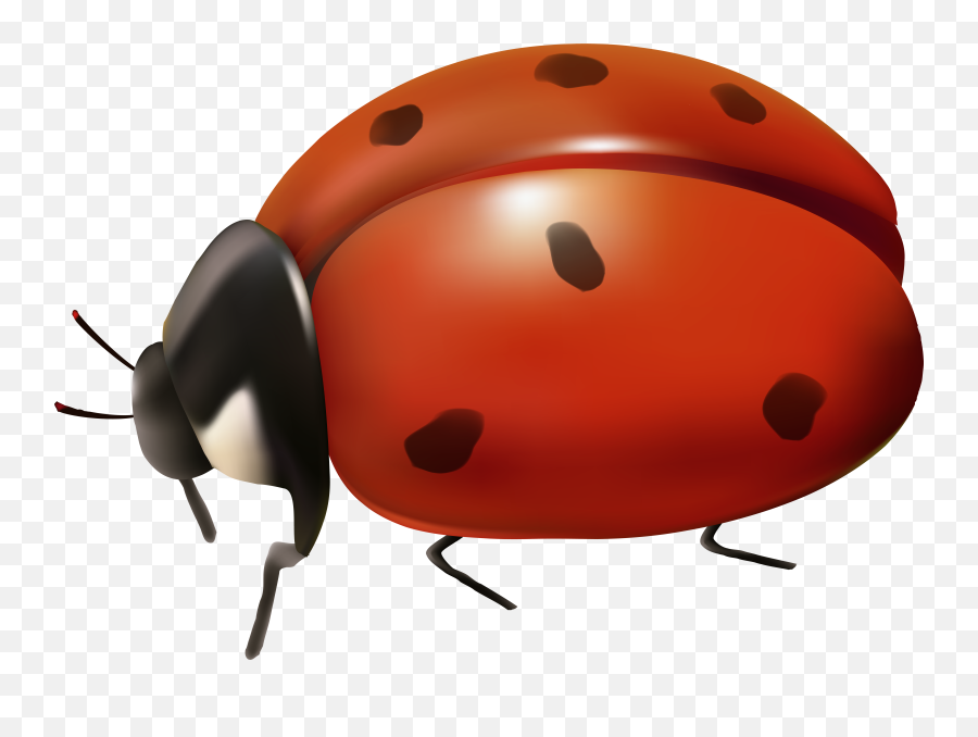 Transparent Background Clipart Ladybug - Ladybug Transparent Emoji,Miraculous Ladybug Emoji